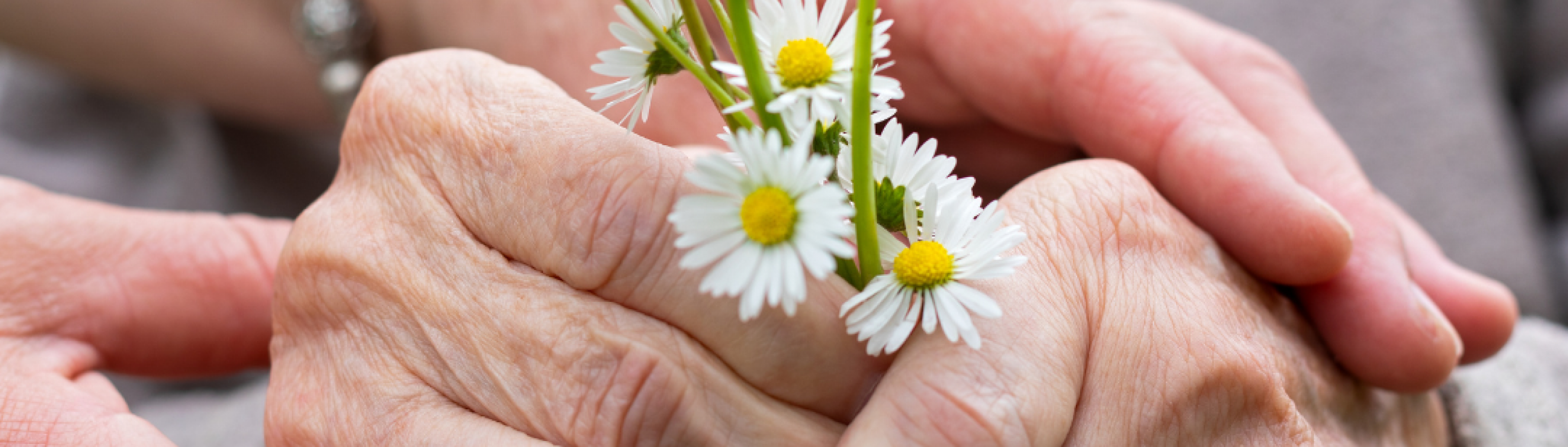 Donation flowers