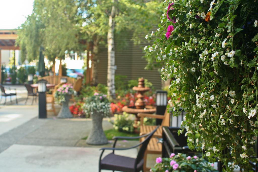 Marrion Village | Baptist Housing