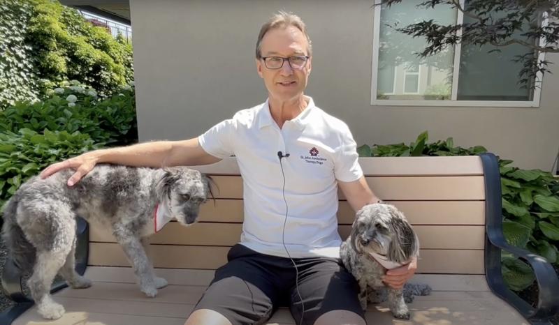 Therapy dog program Image