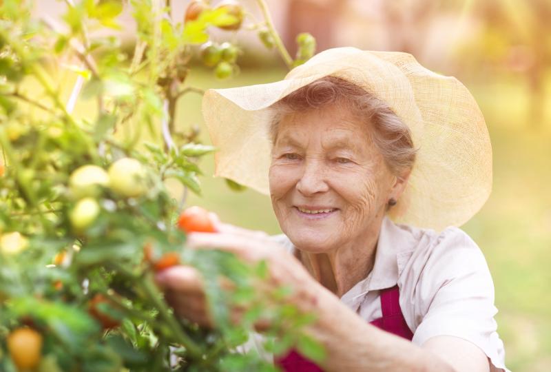 interests_gardening_nutrition_istock_74891985_large.jpg