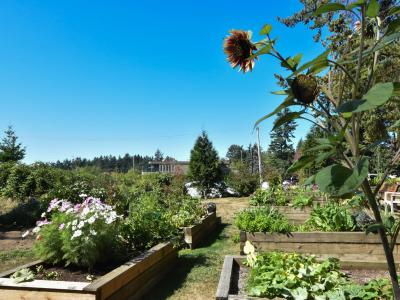 7 EV Gardens