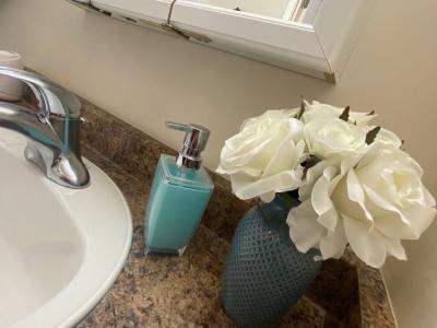 Evergreen Manor - Bathroom 2