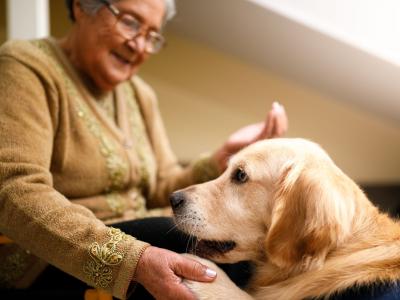 Volunteer retriever