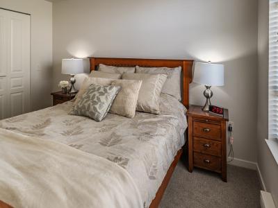 SHO Suite 2 2026