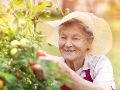 interests_gardening_nutrition_istock_74891985_large.jpg