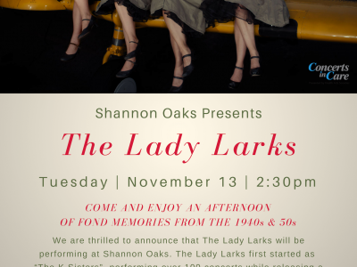 lady_larks_nov_13_sho.png